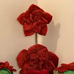 Capitelli Suite